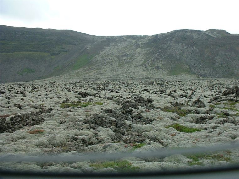 Interesting landscapes on the way to Grindavik - More furry rocks